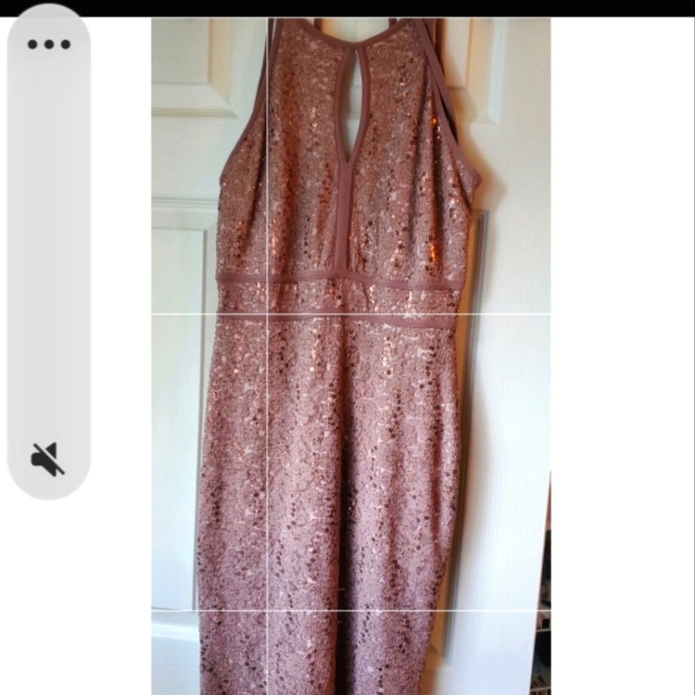 Dress. Glam .Fitted taupe'lace and sequin. size 6. Back zip, Ties at neck